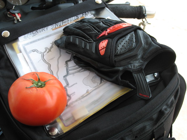 Giant Tomato